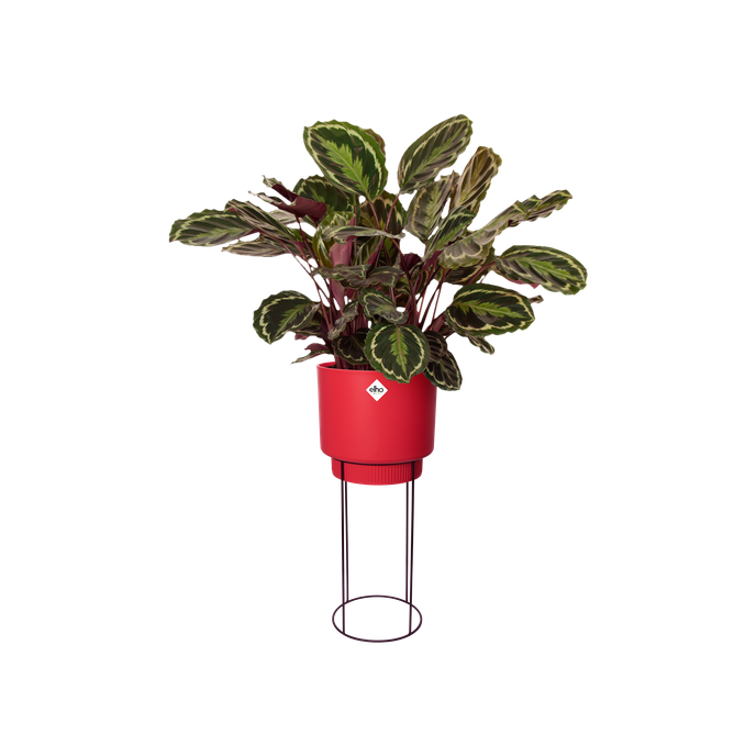 b.for studio round 30cm brilliant red